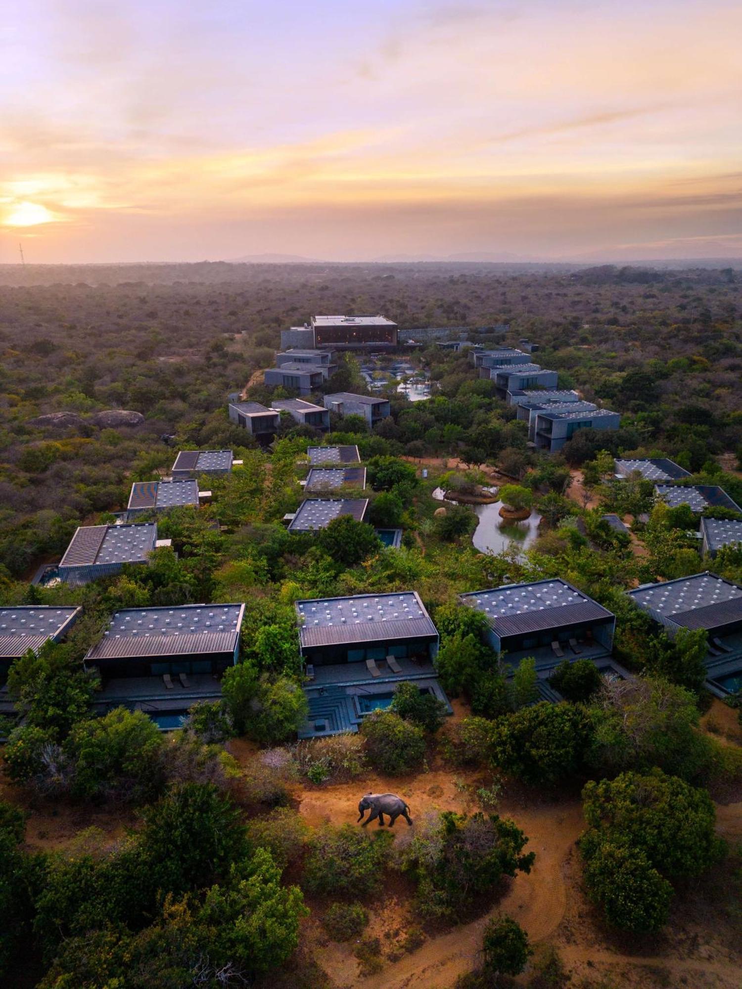 Hilton Yala Resort Экстерьер фото